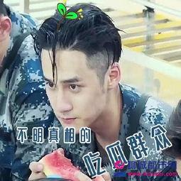 吃瓜群众蒋劲夫免费阅读,揭秘娱乐圈“吃瓜群众”背后的故事 第1张 吃瓜群众蒋劲夫免费阅读,揭秘娱乐圈“吃瓜群众”背后的故事 第1张