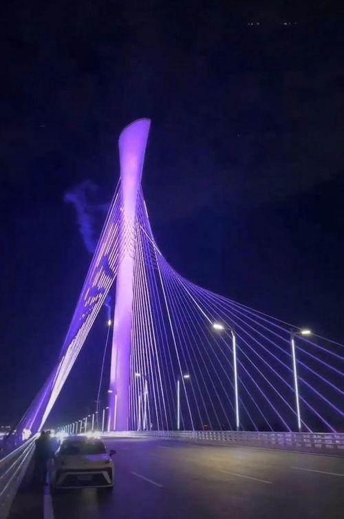 石家庄大桥爆料最新消息,工程进展与安全状况揭秘